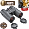 Bushnell Nitro 10x36 Black Binoculars