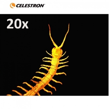 Celestron Handheld Digital Microscope Pro