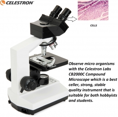 Celestron Labs CB2000C Compound Microscope