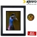 Kenro Ambassador Black Wood Frame 12x18 Inches