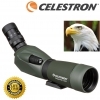 Celestron Regal M2 65ED Spotting Scope with 16-48x65 Eyepiece Angled