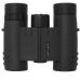 Dorr Danubia 10x32 Bussard I Roof Prism Pocket Binoculars - Black