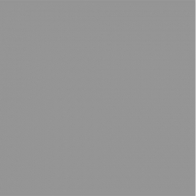 Dorr Light Grey Paper Background 1.35x11m
