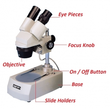 Zenith STM 40 x20/x40 Illuminated Stereoscopic Microscope