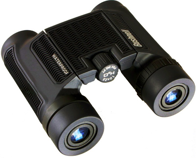 £45 Bushnell H2O 10x25 Roof Prism Binoculars 130105 London