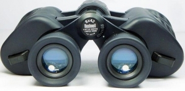Bushnell H2O WP 8x42 Porro Prism Binoculars