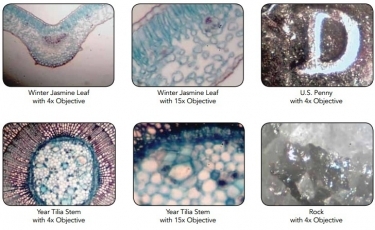 Celestron MDK Microscope Digital Kit With USB Video Camera