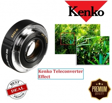 Kenko DGX PRO 300 1.4x Teleplus Teleconverter for Canon