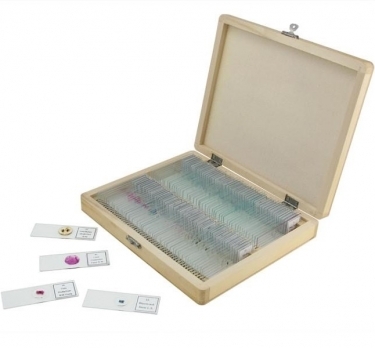 Celestron Prepared Microscope Slides 100 Piece Set