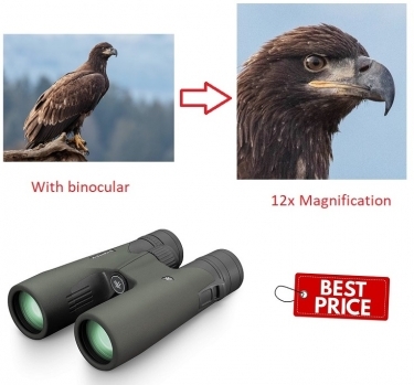 Vortex 10x50 Razor Ultra HD Binoculars