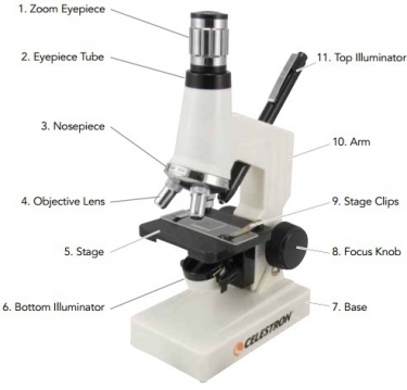 Celestron MDK Microscope Digital Kit With USB Video Camera