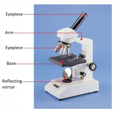 Zenith Ultra-400M Advanced Student Microscope