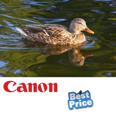 Canon 300mm F4L EF USM Image Stabiliser Lens