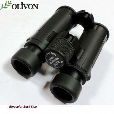 Olivon PC-3 8x34 Roof prism Bak4 Binocular