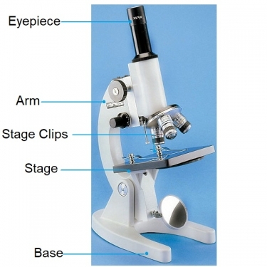Zenith P6A Student Microscope