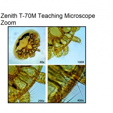 Zenith T-70M Teaching Microscope