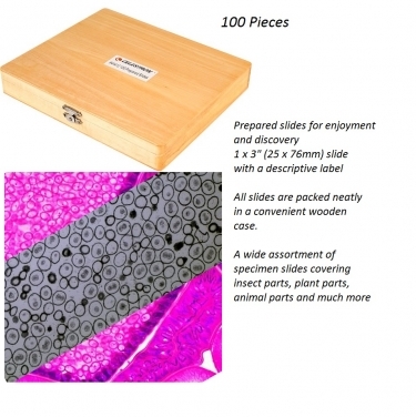 Celestron Prepared Microscope Slides 100 Piece Set