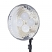 Dorr DL-400 LED Continuous Light 4x 10 Watt LED Bulb Head