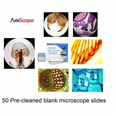 AmScope 50 Pcs Microscope Slides Plus 100 pcs Cover Slide