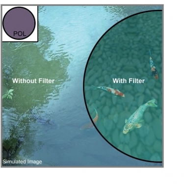 Nikon 52mm Circular Polarizer II (Thin) Ring Multi-Coated Filter Nikon 52mm Circular Polarizer II (Thin) Ring Multi-Coated Filter