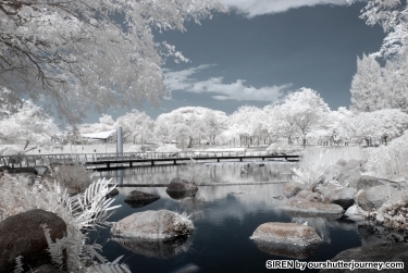 Hoya 77mm Infrared R72 Filter Hoya 77mm Infrared R72 Filter