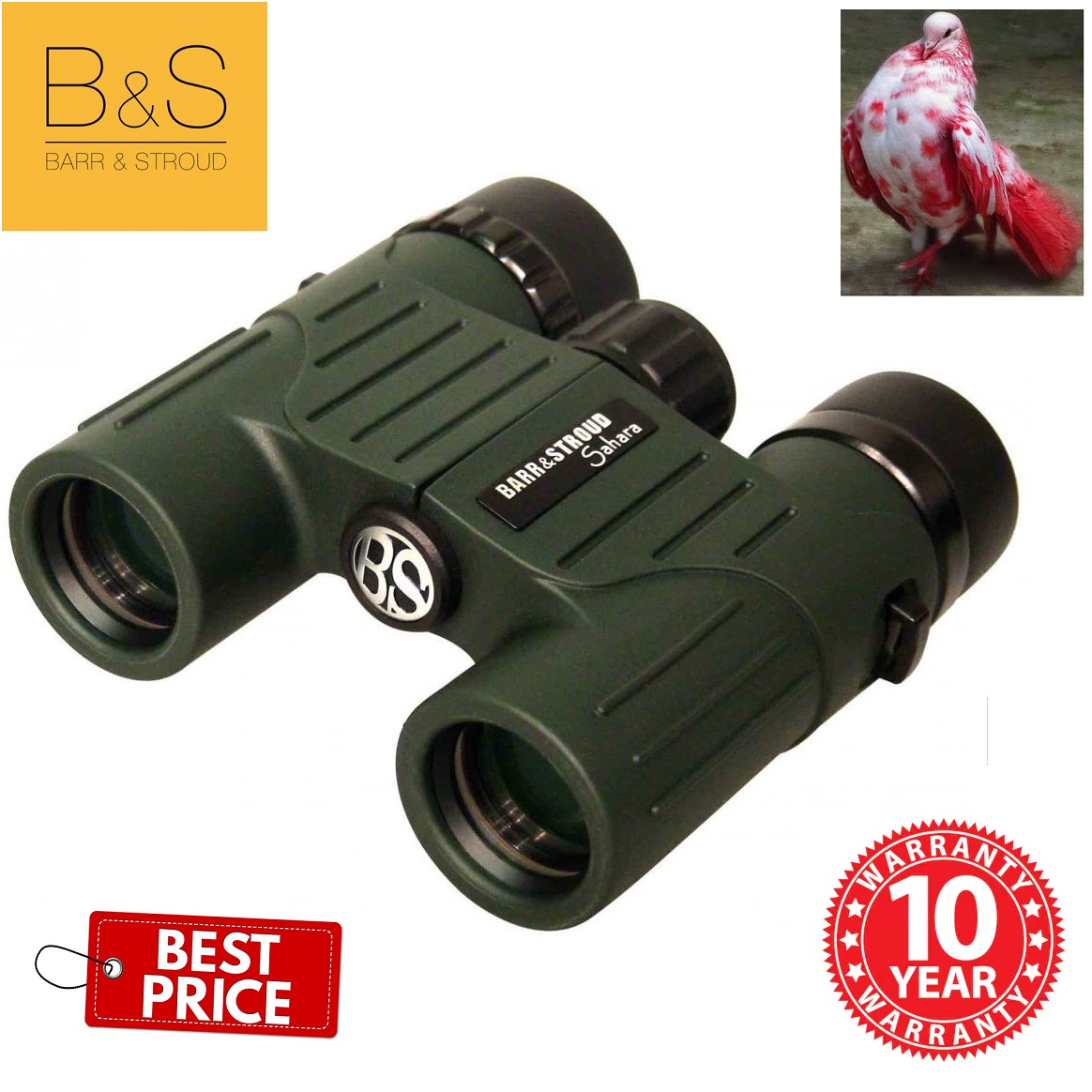 Barr &amp; Stroud Sahara 10x42 - - Voor 23.59u, Morgen In Huis