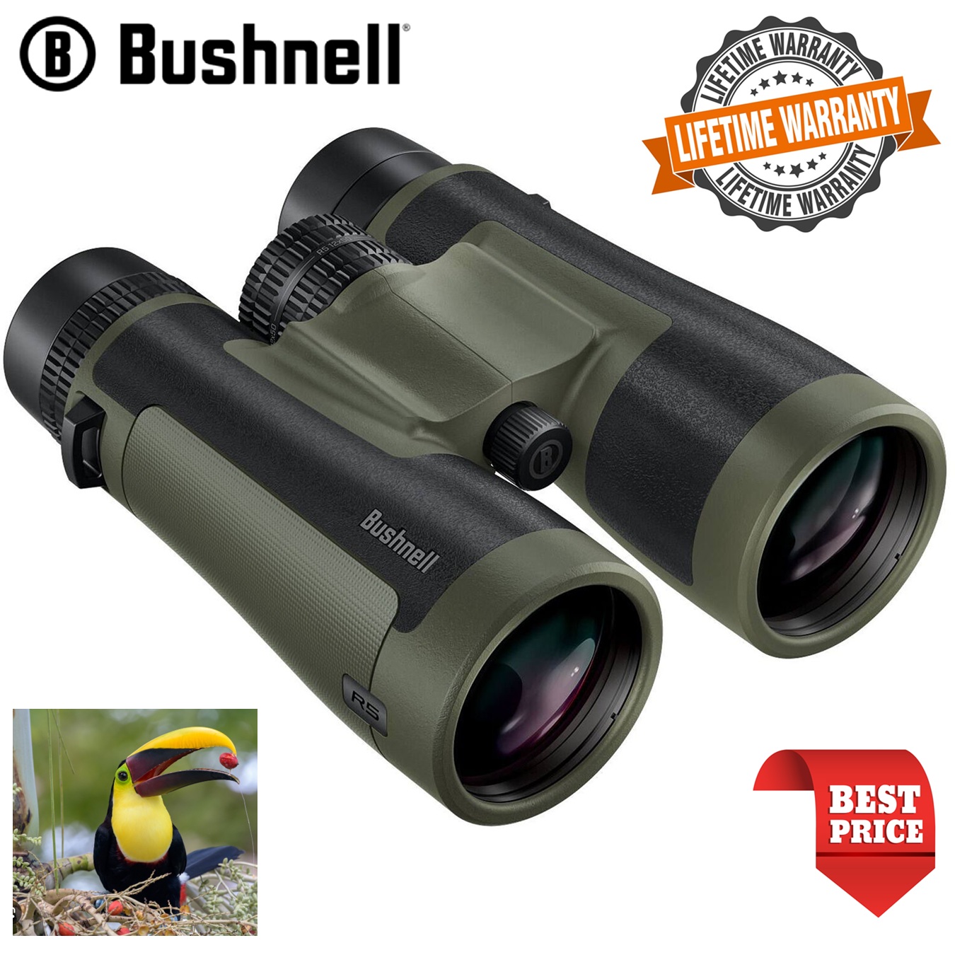 Bushnell 12x50 Trophy R5 Binoculars (Ranger Green)