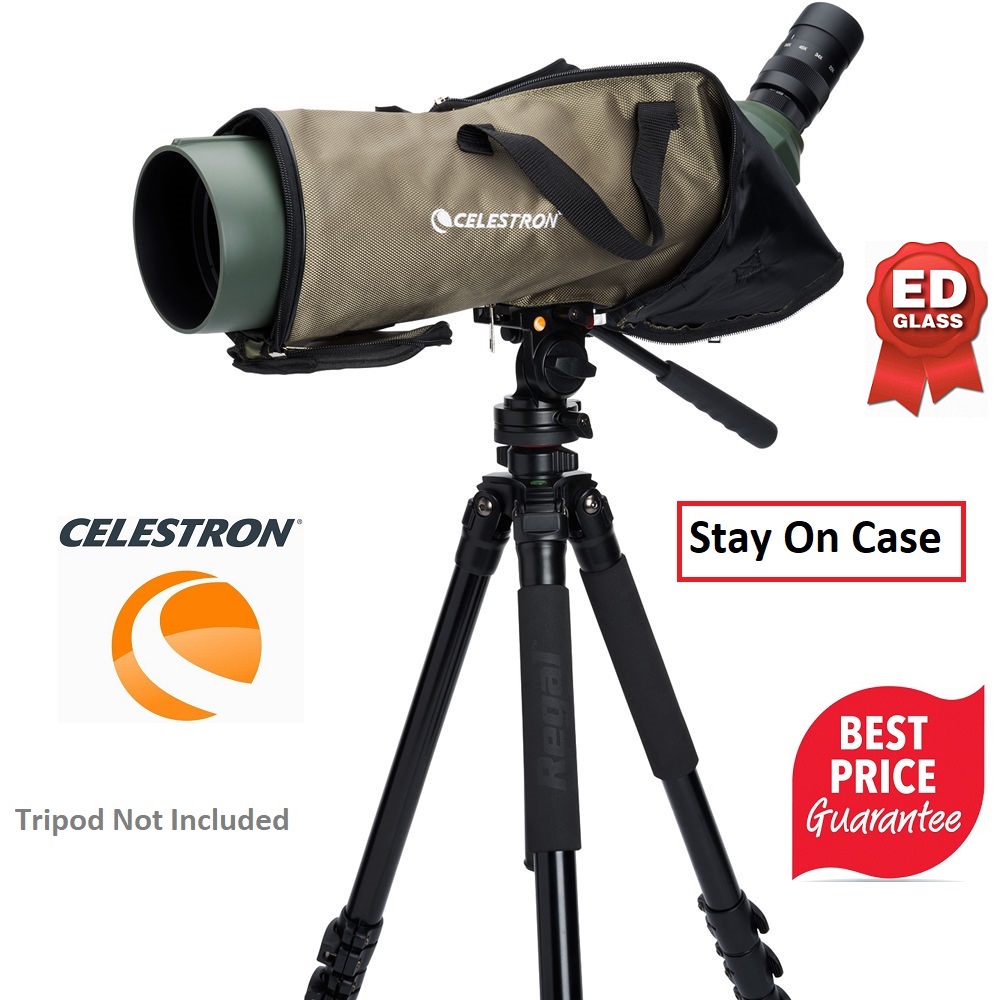 Celestron Regal M2 100ED Spotting Scope with 2267x Eyepiece (Angled