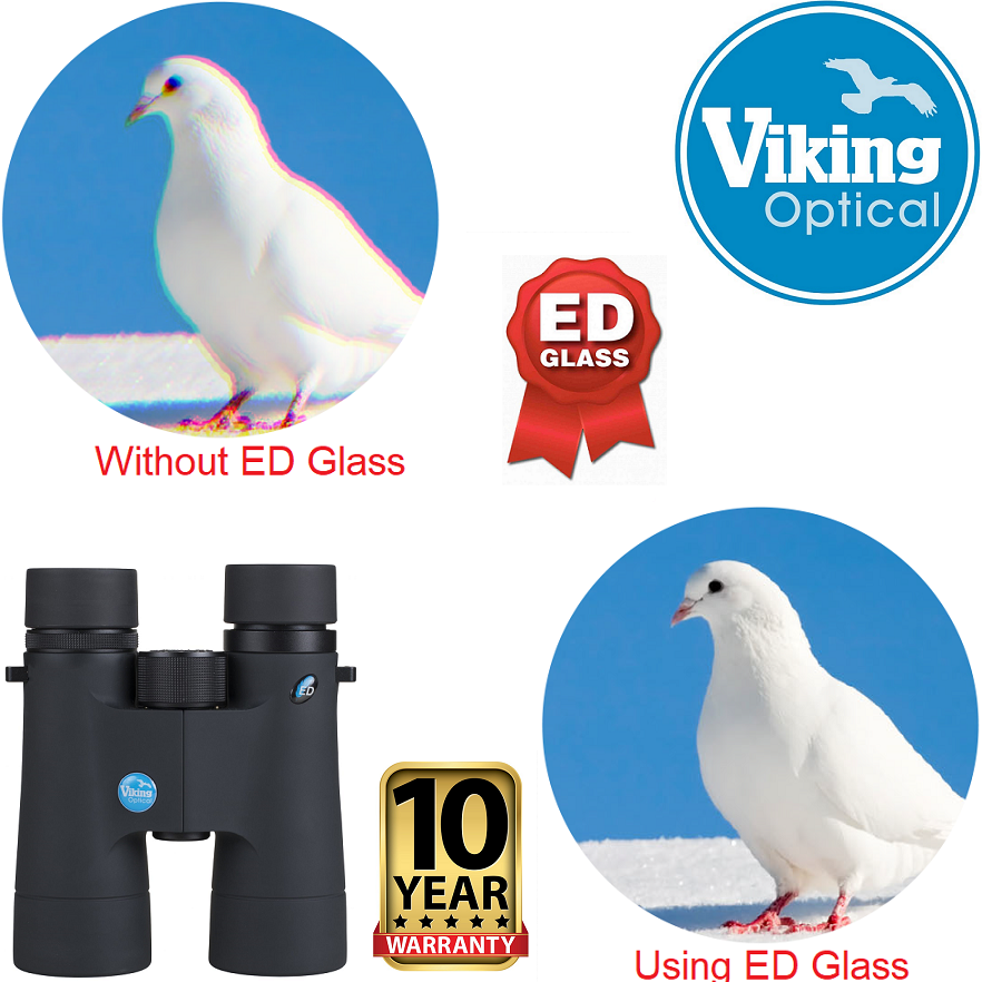 Viking 10x42 Peregrine ED Binocular