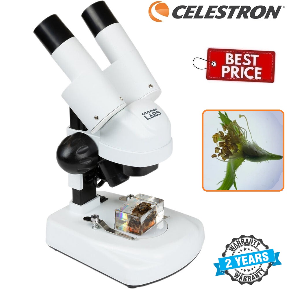 Celestron LABS S20A Angled Stereo Microscope