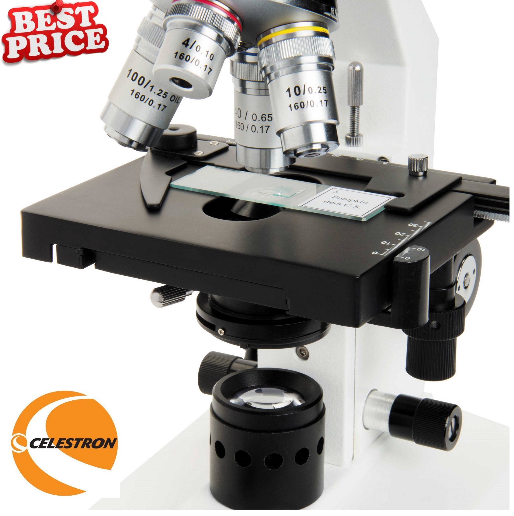 Celestron Labs CLCB2000CF Binocular Compound Microscope