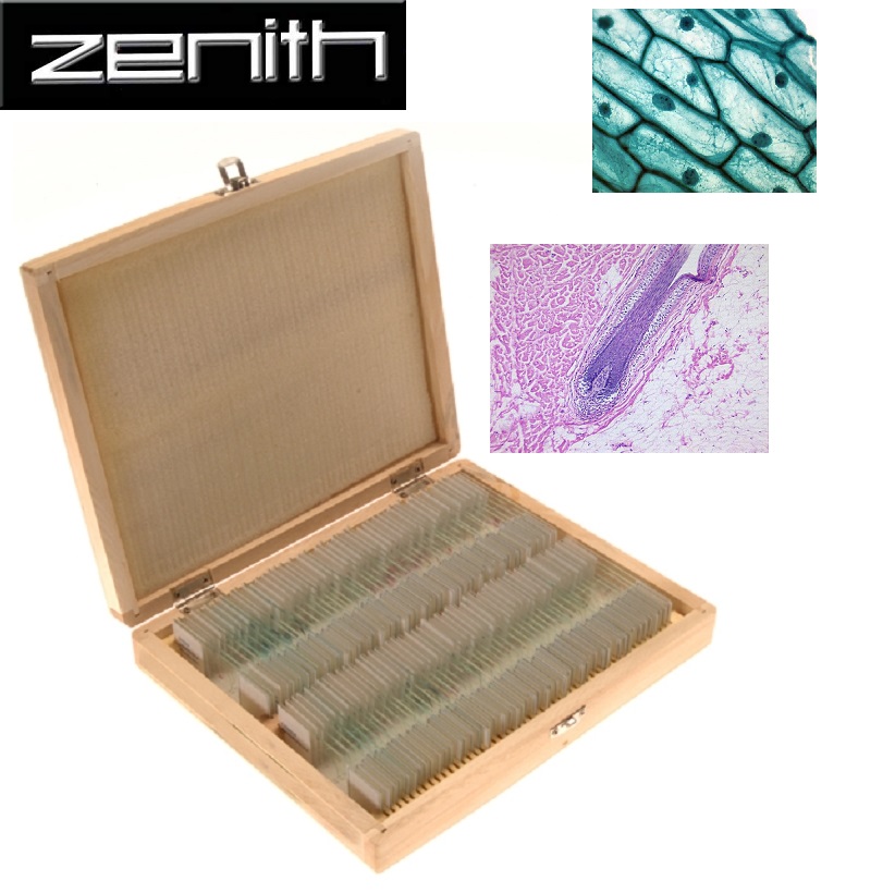 Zenith Prepared 100 Piece Microscope Slides Set
